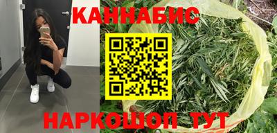 прущие грибы Будённовск
