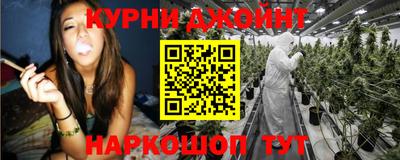 прущие грибы Будённовск