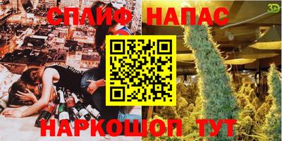прущие грибы Будённовск